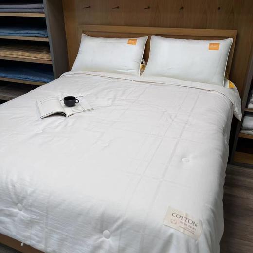 全棉提花水洗柔肤被 商品图0