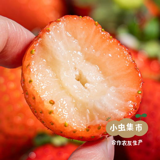 沃野青青有机草莓 2.3±0.1斤 | 合作农友生产，来自陕西咸阳，生产者：郑力行 *【公平贸易农人定价】 商品图2