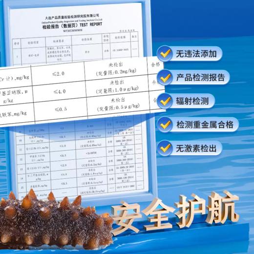 俄罗斯进口萨哈林大红参 20头 纯野生海参 淡干货海参 商品图5