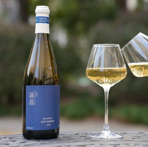 【江浙沪快递】新疆蒲昌酒庄 2022蒲昌白羽干白葡萄酒 商品图0
