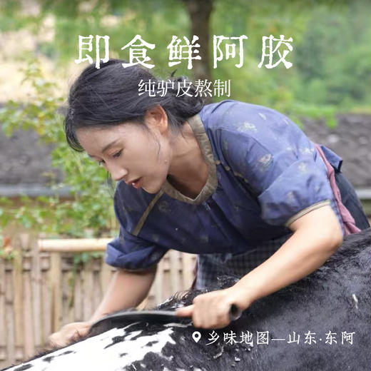 【鲜阿胶•纯正非遗技艺】开袋即食1罐100g1片5g 商品图1