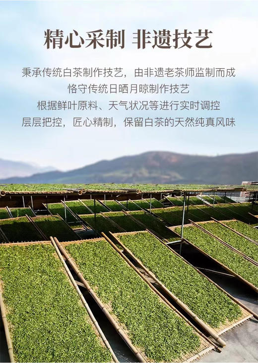 八马茶叶 福鼎白茶白牡丹礼盒装 商品图2