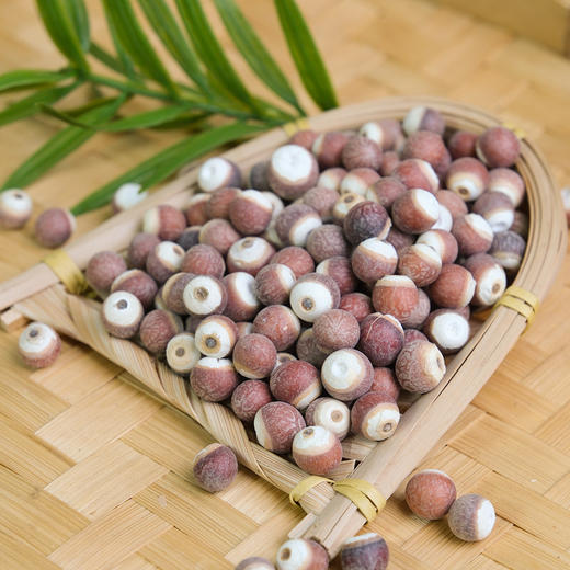 【新货】万物本草肇庆芡实  红皮大果鸡头米 不熏硫 商品图2