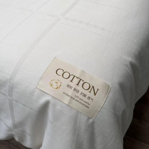 全棉提花水洗柔肤被 商品图2