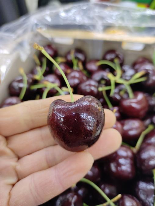 Primore 3JD车厘子一箱 商品图2