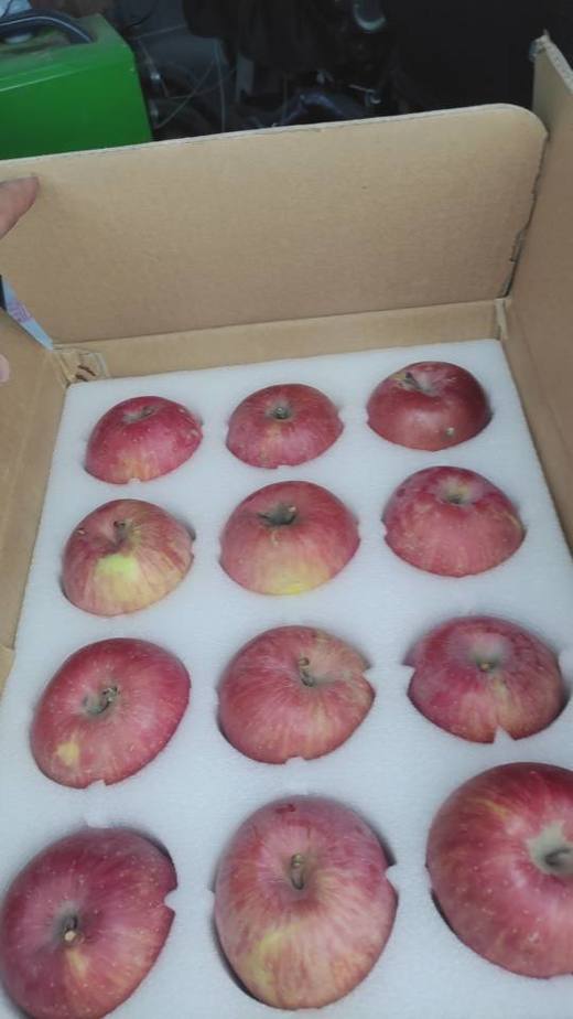 合作产品/ 新疆伊犁生态苹果 商品图5
