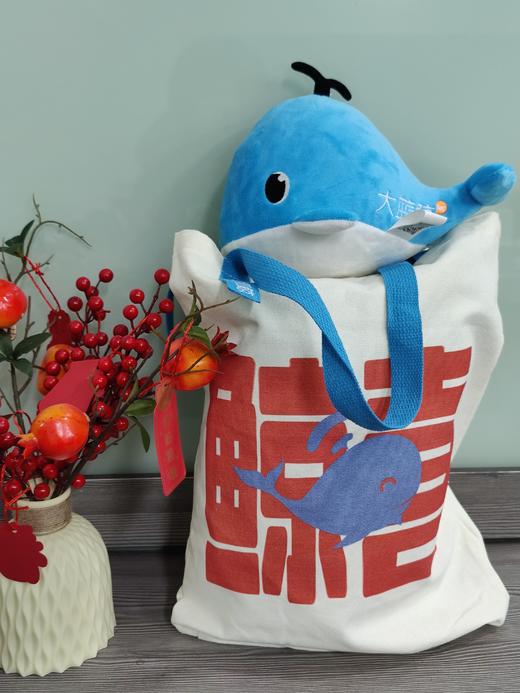 大蓝鲸精选鲸喜福袋（内含大蓝鲸定制鲸喜帆布袋、大蓝鲸玩偶、江苏广播珍藏版书籍、养生锤、鲸喜盆栽、国潮擦手巾） 商品图0