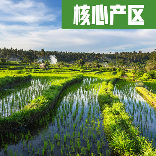 那陌田留胚米软糯香甜500g尝鲜装 商品图1