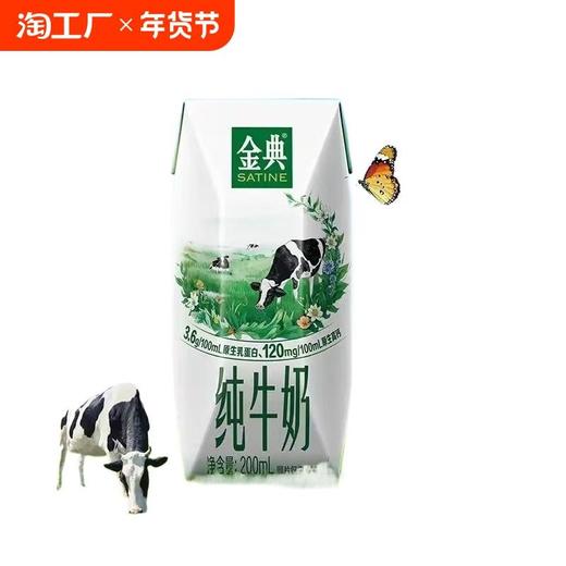 伊利金典纯牛奶200ml*12 商品图2