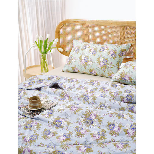 法式玫瑰系列全套一整套亚麻透气亲肤厚单人一体被子 商品图1