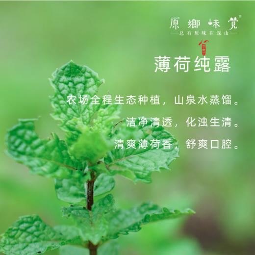 茶树薄荷纯露漱口水（成都仓库-顺丰快递 ） ｜300ml/瓶，来自广东中山，生产者：旗溪【合作生产，公平贸易】 商品图3
