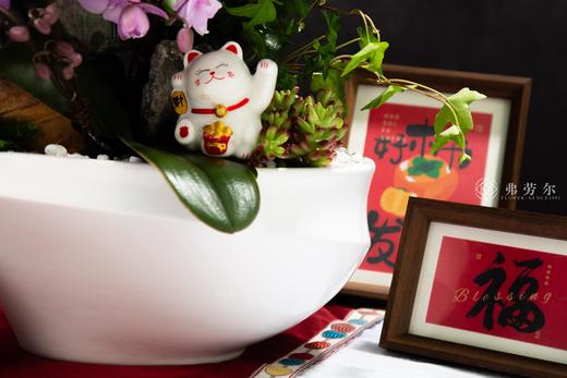 蛇舞新春 商品图4