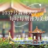 华中科技大学建筑模型系列-醉晚亭 商品缩略图1