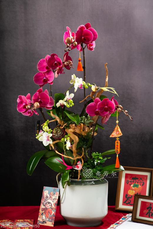 蛇年大吉 商品图0