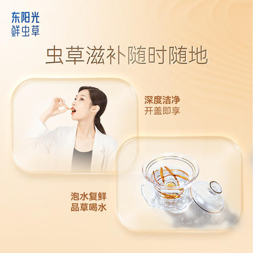 东阳光冬虫夏草 冻干鲜虫草10根装 商品图3