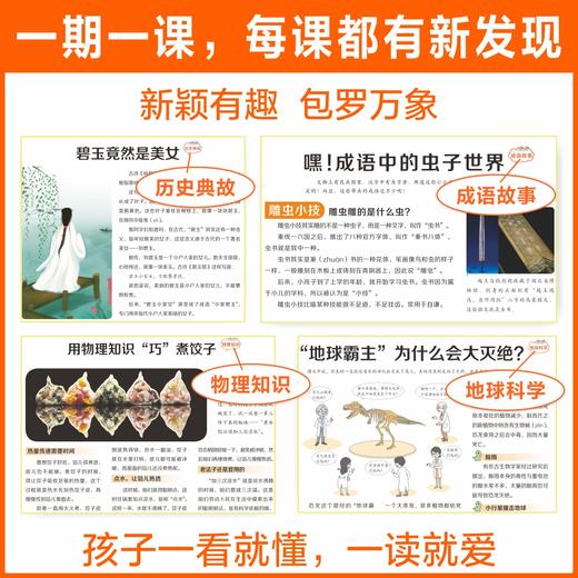 大语文知识画报少年报纸杂志2025全年订阅52期小学同步人教版课本课文阅读一期一课课前预习知识拓展 商品图2