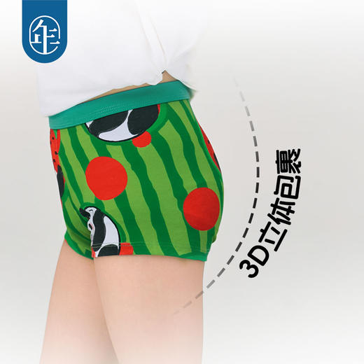 【2条装】年衣儿童内裤平角裤2025春款男童小短裤婴儿四角裤盼达果园男童内裤 商品图1