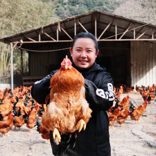 杭州好吃的鸡又多了一只 央视“寿星鸡” 只放盐和水惊艳了全家 商品图1