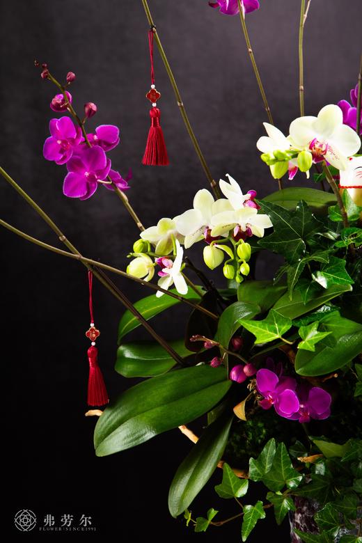 金蛇献瑞 商品图3