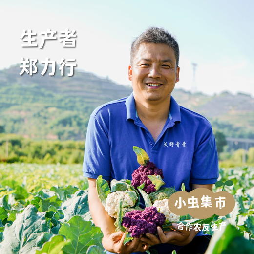 沃野青青有机草莓 2.3±0.1斤 | 合作农友生产，来自陕西咸阳，生产者：郑力行 *【公平贸易农人定价】 商品图4