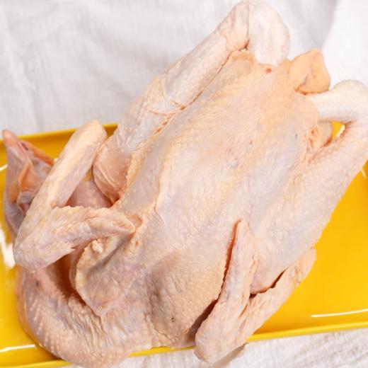 【光明上海农场】谷饲黄油镦鸡（阉鸡）1.7~1.9kg/只（一只/两只可选，赠:光明八宝饭） 商品图0