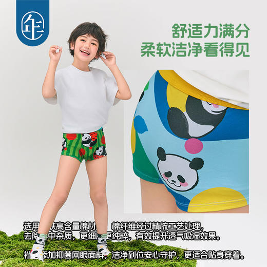 【2条装】年衣儿童内裤平角裤2025春款男童小短裤婴儿四角裤盼达果园男童内裤 商品图2