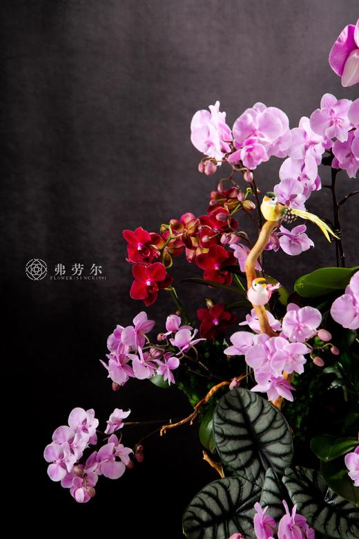 蛇舞新春 商品图1