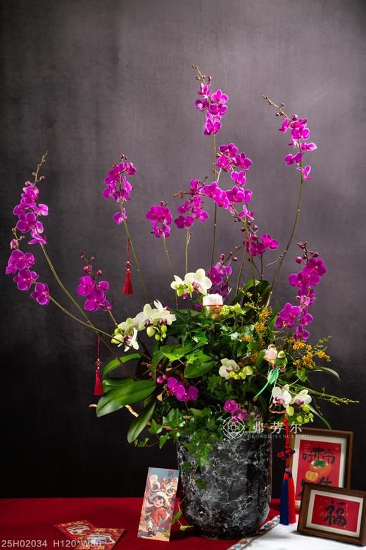 金蛇献瑞 商品图0