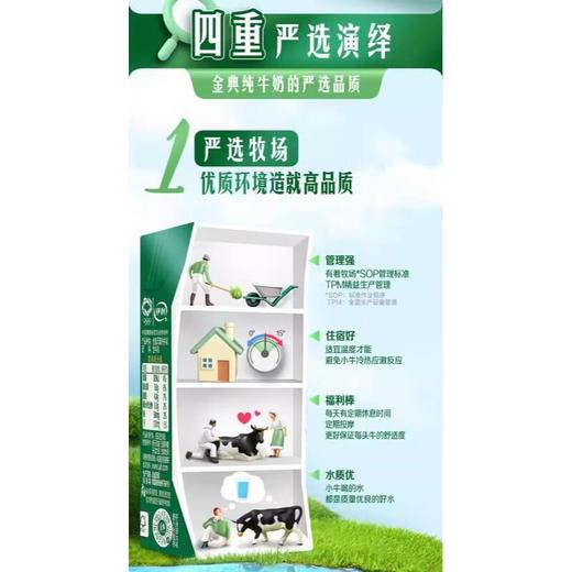 伊利金典纯牛奶200ml*12 商品图4