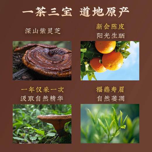 【年货礼盒】茶叶 灵芝陈皮白茶 白茶寿眉年货 白茶 年货礼盒 茶饮 五虎 200g（买二送一个焖杯） 商品图2