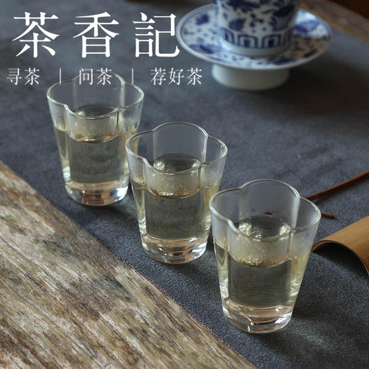 茶香记 白荒白牡丹017荒野白牡丹福鼎大白茶纯料丛韵宜藏宜喝 商品图5