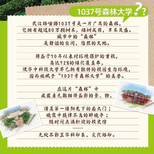 华中科技大学建筑模型系列-南大门广场 商品图3