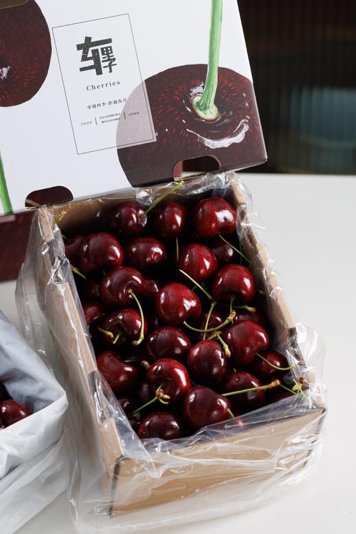 澳洲塔斯马尼亚空运车厘子 商品图3