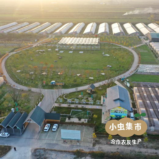 沃野青青有机草莓 2.3±0.1斤 | 合作农友生产，来自陕西咸阳，生产者：郑力行 *【公平贸易农人定价】 商品图12