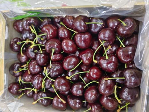 Primore 3JD车厘子一箱 商品图0