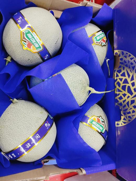 都知果网纹蜜瓜一个 商品图0