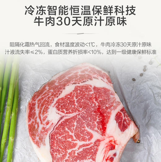 海尔（Haier）冰箱BCD-460WGHTD14G9U1 商品图8