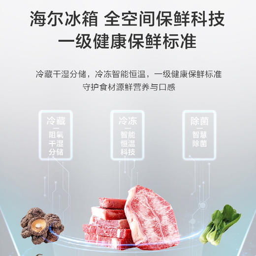 海尔（Haier）冰箱BCD-460WGHTD14G9U1 商品图7