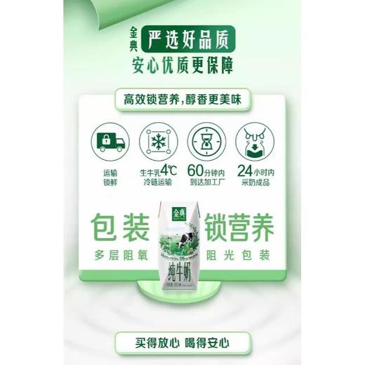 伊利金典纯牛奶200ml*12 商品图1