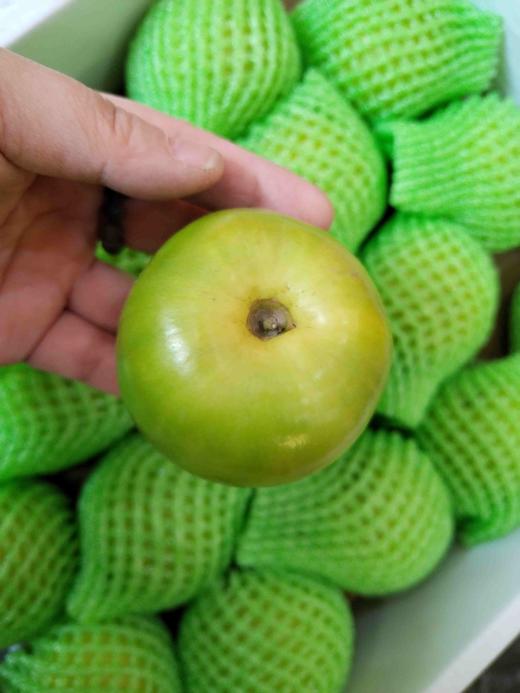 苹果枣（润达） 商品图0