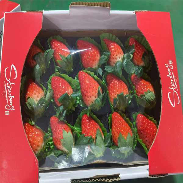 【26.9元2盒】盒装甜宝奶莓（1500787）