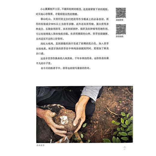 本草中国（第二季） 配增值 丰富角度 由表及里 由浅入深 由形至神 由趣达思 充分彰显大医精诚的力量9787117328098人民卫生出版社 商品图4