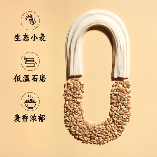 谦益香畴原麦胚芽面条 宽/细2种 自种生态冬小麦 低温石磨灰面 近全麦 自然麦香 原汁原味 商品图1