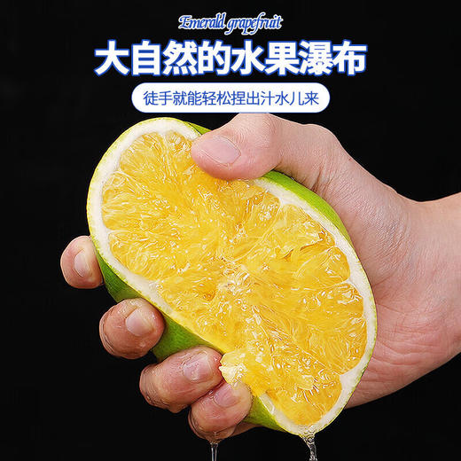 【分仓直发包邮】福建漳州翡翠葡萄柚一级果5斤（3-5个）（大果单果450g+） 商品图2