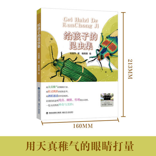 给孩子的昆虫集 2025百班千人寒假推荐阅读 二年级 商品图0