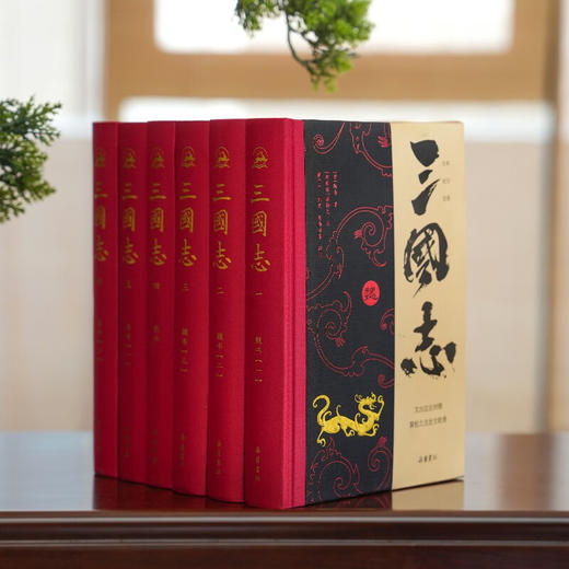 《三国志》全本全注全译全导读版全6册 | 裴松之注，还原真三国，领略史海惊涛！ 商品图0