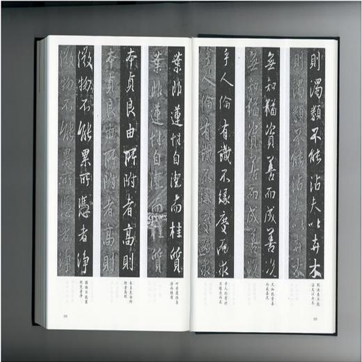 以王羲之的名义《集王圣教序碑》的经典化之路 罗丰 著 三联书店 商品图4