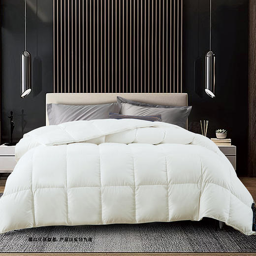 鑫缘 臻绒系列手工白鹅绒被（升级款） EYPY 商品图0