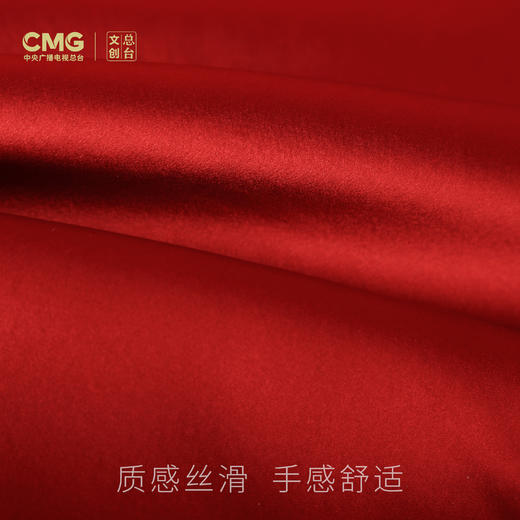 总台文创蛇年巳巳如意宋锦靠枕 新年礼物客厅沙发结婚喜庆抱枕 商品图4