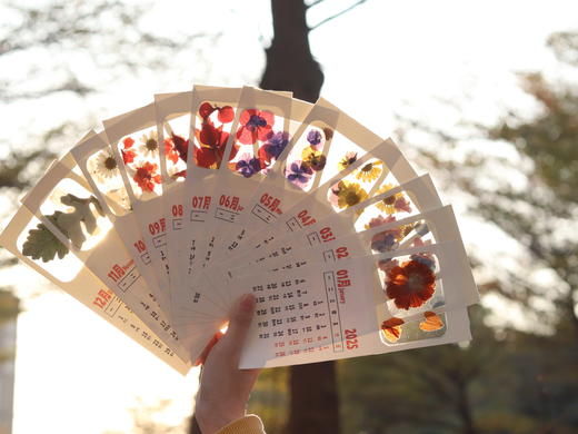 创意押花日历 商品图0